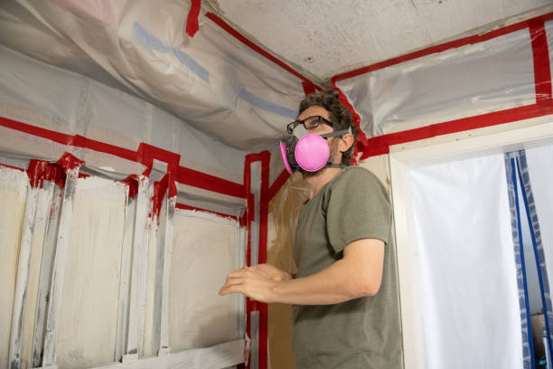 Best Mold-Related Health Consultation  in Fremont, CA